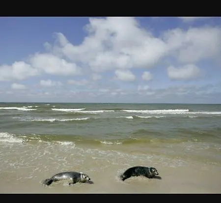 Pod Debami W Klukach בית חווה *