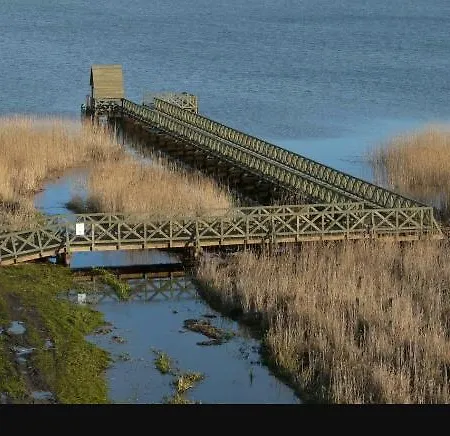Pod Dębami W Klukach