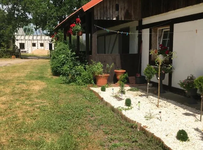 Pod Debami W Klukach ファームステイ