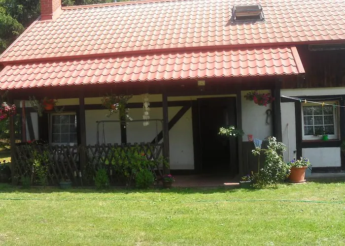 Pod Debami W Klukach Smołdzino