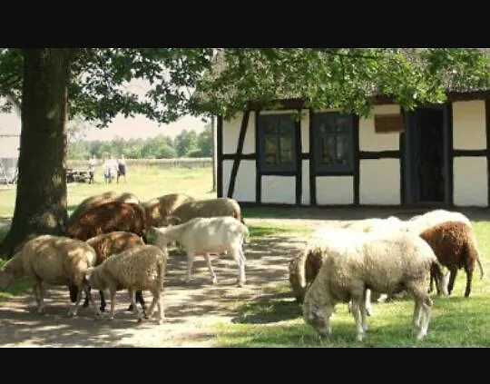 Pod Debami W Klukach * Smołdzino