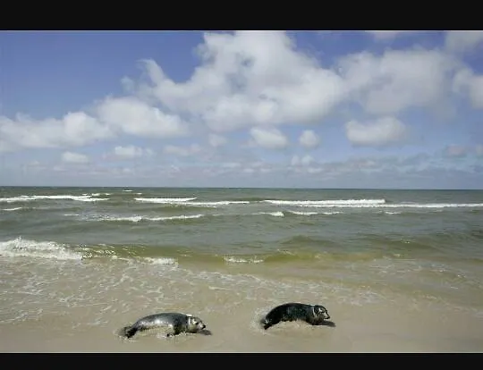 Pod Debami W Klukach 팜스테이 *