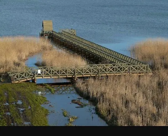 Pod Debami W Klukach