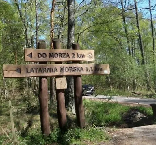 Pod Debami W Klukach