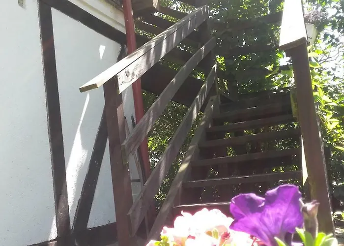 Pod Debami W Klukach ファームステイ Smołdzino